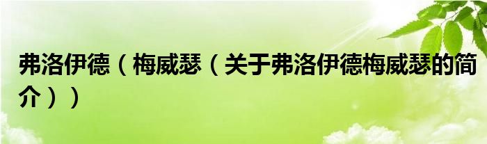 弗洛伊德（梅威瑟（关于弗洛伊德梅威瑟的简介））