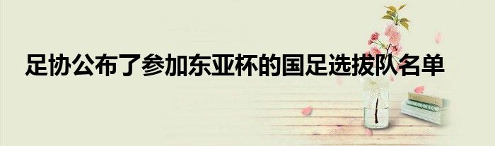 足协公布了参加东亚杯的国足选拔队名单