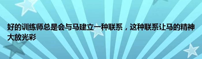 好的训练师总是会与马建立一种联系 这种联系让马的精神大放光彩