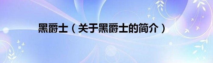 黑爵士（关于黑爵士的简介）
