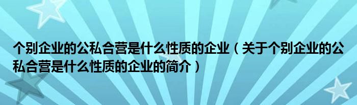 个别企业的公私合营是什么性质的企业（关于个别企业的公私合营是什么性质的企业的简介）