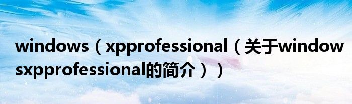 windows（xpprofessional（关于windowsxpprofessional的简介））