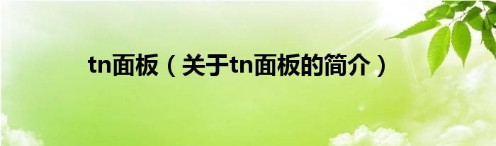 tn面板（关于tn面板的简介）