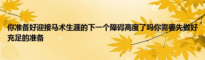 你准备好迎接马术生涯的下一个障碍高度了吗你需要先做好充足的准备