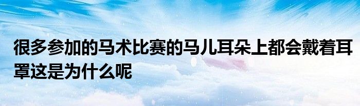 很多参加的马术比赛的马儿耳朵上都会戴着耳罩这是为什么呢