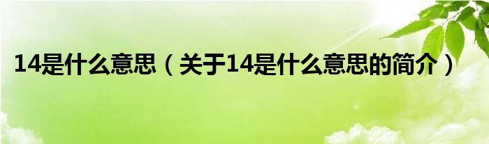 14是什么意思（关于14是什么意思的简介）