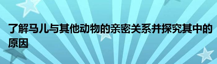 了解马儿与其他动物的亲密关系并探究其中的原因