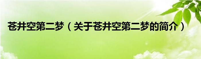 苍井空第二梦（关于苍井空第二梦的简介）