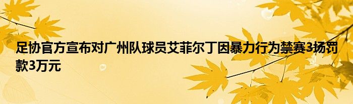 足协官方宣布对广州队球员艾菲尔丁因暴力行为禁赛3场罚款3万元