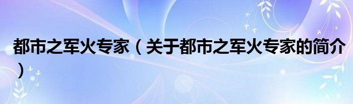 都市之军火专家（关于都市之军火专家的简介）