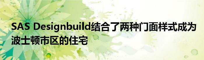 SAS Designbuild结合了两种门面样式成为波士顿市区的住宅