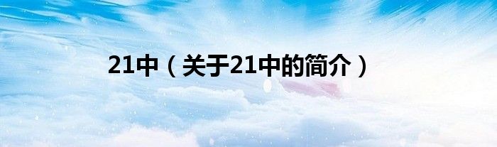 21中（关于21中的简介）