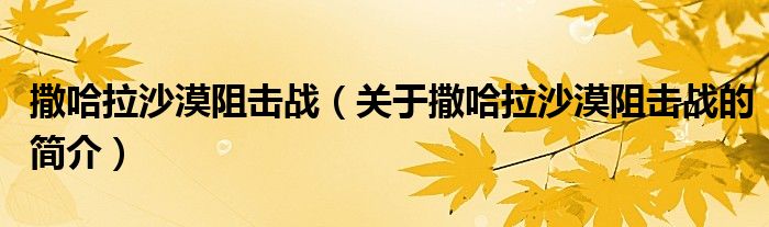 撒哈拉沙漠阻击战（关于撒哈拉沙漠阻击战的简介）