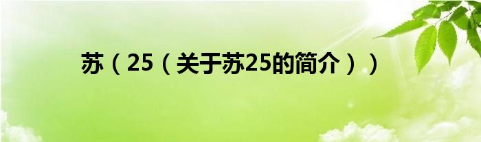 苏（25（关于苏25的简介））