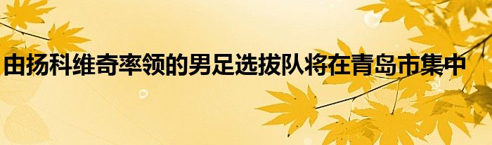 由扬科维奇率领的男足选拔队将在青岛市集中