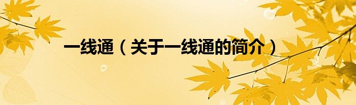 一线通（关于一线通的简介）