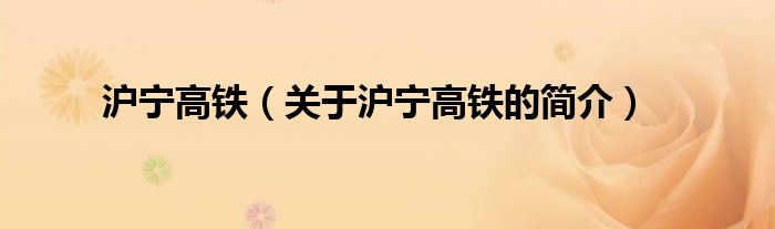 沪宁高铁（关于沪宁高铁的简介）
