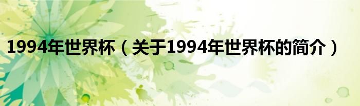 1994年世界杯（关于1994年世界杯的简介）