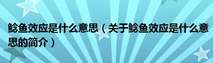 鲶鱼效应是什么意思（关于鲶鱼效应是什么意思的简介）