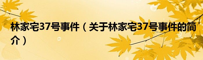 林家宅37号事件（关于林家宅37号事件的简介）