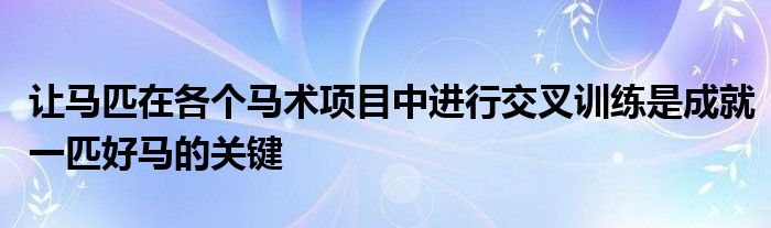 让马匹在各个马术项目中进行交叉训练是成就一匹好马的关键