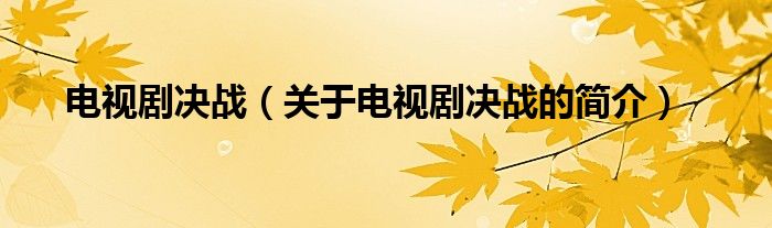 电视剧决战（关于电视剧决战的简介）