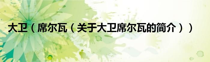 大卫（席尔瓦（关于大卫席尔瓦的简介））