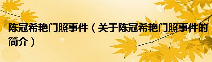 陈冠希艳门照事件（关于陈冠希艳门照事件的简介）
