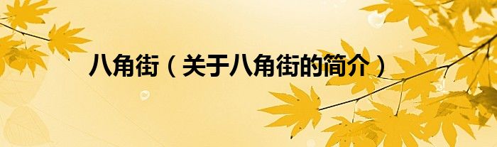八角街（关于八角街的简介）