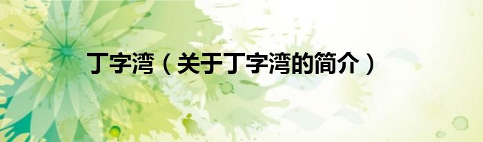 丁字湾（关于丁字湾的简介）