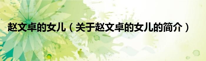 赵文卓的女儿（关于赵文卓的女儿的简介）
