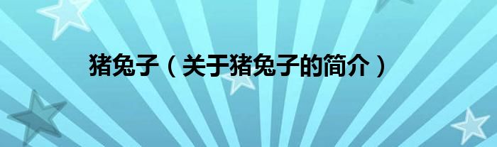 猪兔子（关于猪兔子的简介）