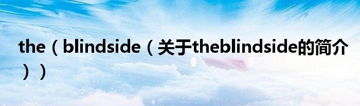 the（blindside（关于theblindside的简介））