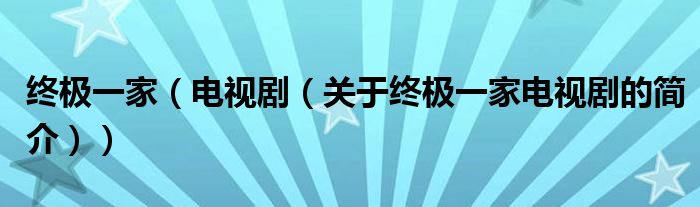终极一家（电视剧（关于终极一家电视剧的简介））