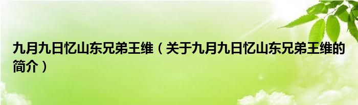 九月九日忆山东兄弟王维（关于九月九日忆山东兄弟王维的简介）