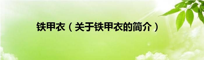 铁甲衣（关于铁甲衣的简介）