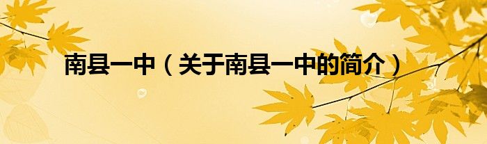 南县一中（关于南县一中的简介）