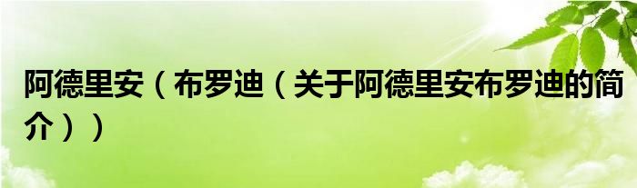 阿德里安（布罗迪（关于阿德里安布罗迪的简介））