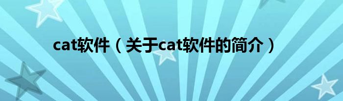 cat软件（关于cat软件的简介）