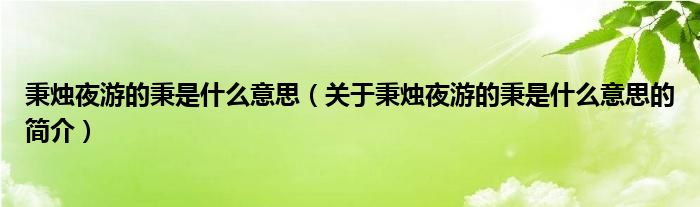 秉烛夜游的秉是什么意思（关于秉烛夜游的秉是什么意思的简介）