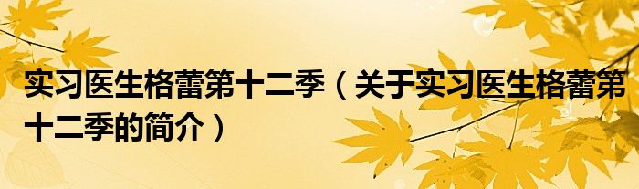 实习医生格蕾第十二季（关于实习医生格蕾第十二季的简介）