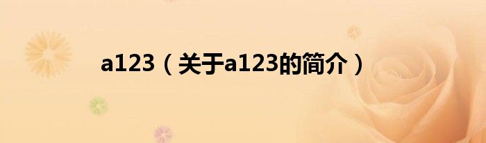 a123（关于a123的简介）