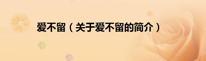 爱不留（关于爱不留的简介）