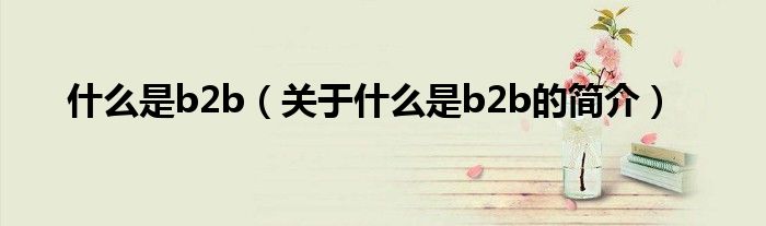 什么是b2b（关于什么是b2b的简介）