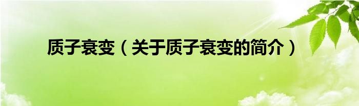 质子衰变（关于质子衰变的简介）