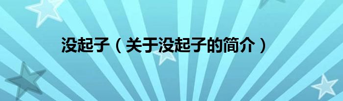 没起子（关于没起子的简介）