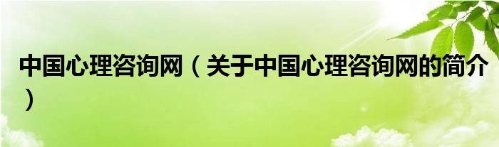 中国心理咨询网（关于中国心理咨询网的简介）