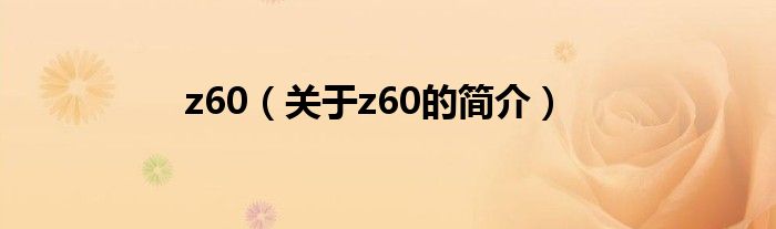 z60（关于z60的简介）