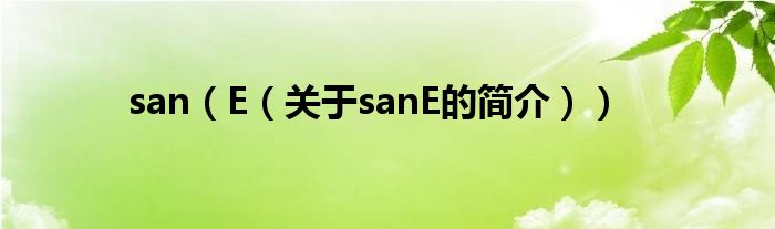 san（E（关于sanE的简介））