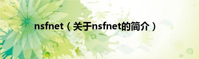 nsfnet（关于nsfnet的简介）